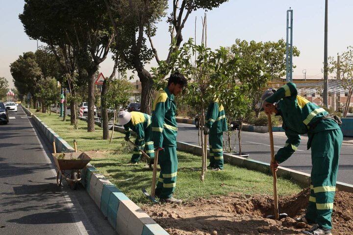 بازپیرایی فضای سبز و کاشت ۳۰۰۰ اصله درختچه در طرح الگوی خدمت در منطقه ۲۱