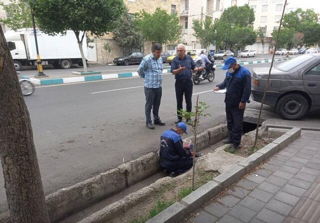 طرح نگهداشت مبارزه با جوندگان مضر شهری منطقه ۱۴