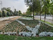 کاشت ۲۵ هزار اصله درخت در منطقه ۴ تهران