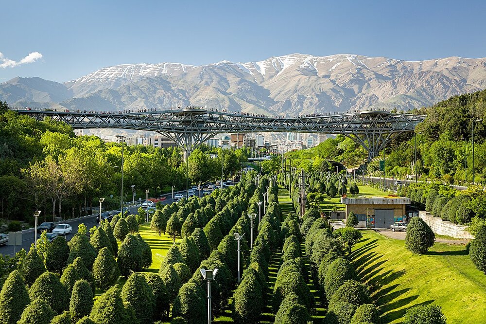 برگزاری همایش تای چی چوآن بر روی «پل طبیعت» با حضور وزیر ورزش