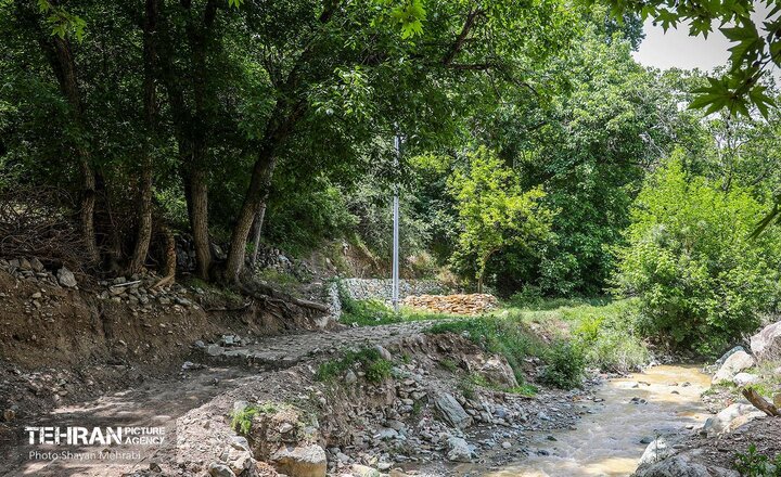 جمع‌آوری حدود هزار و ۵۰۰ معتاد متجاهر و کشف بالغ بر ۶۰ کیلوگرم مواد مخدر از روددره فرحزاد