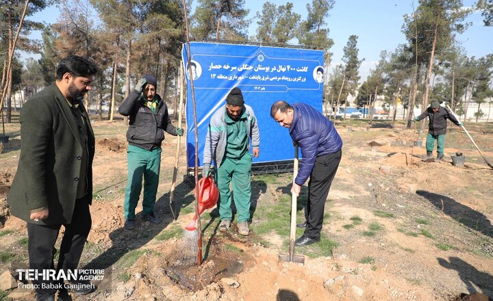 آیین یلدای مهربانی و کاشت نهال در بوستان سرخه حصار