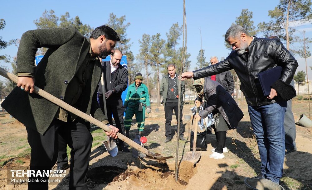 آیین یلدای مهربانی و کاشت نهال در بوستان سرخه حصار