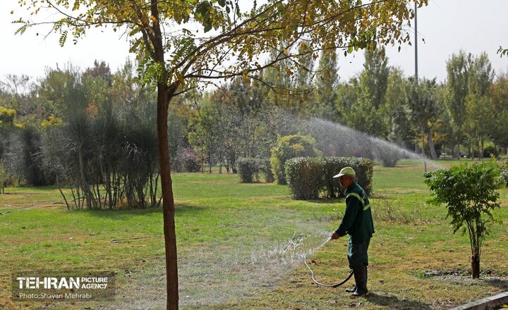 بررسی سرانه فضای سبز پایتخت براساس اسناد بالادستی