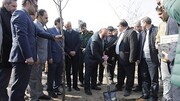 اجرای عملیات درختکاری در بوستان ۲ هکتاری محله علی‌آباد جنوبی