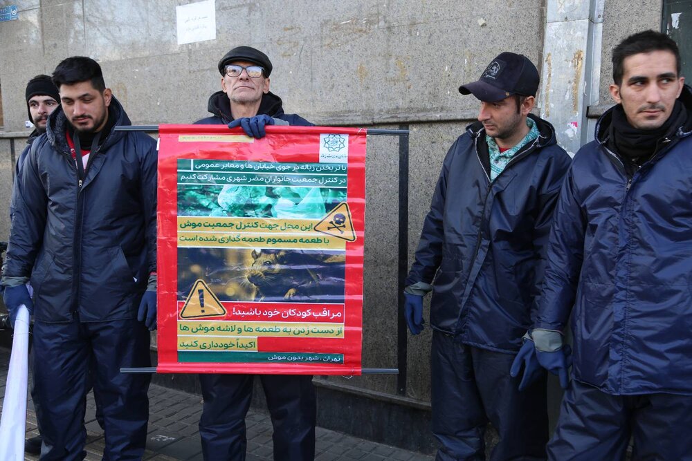 آغاز طرح ضربتی مبارزه با موشها در منطقه ۱۰