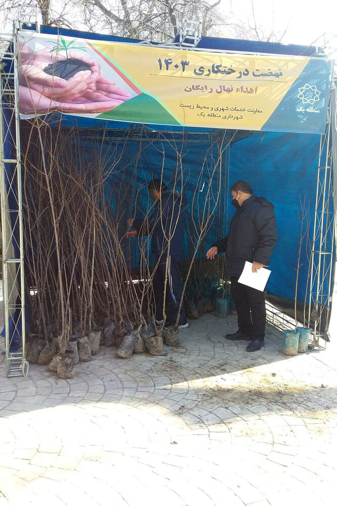 راهاندازی غرفههای اهدای نهال رایگان به شهروندان منطقه یک