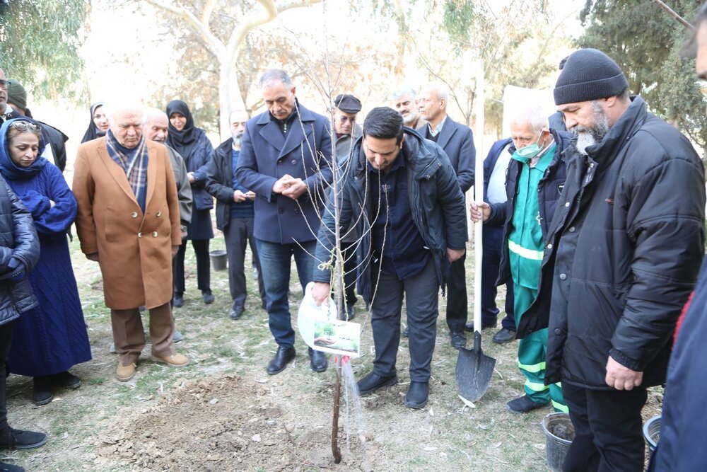 غرس ۲۰ هزار اصله درخت و ۴۰ هزار درختچه در منطقه ۱۰