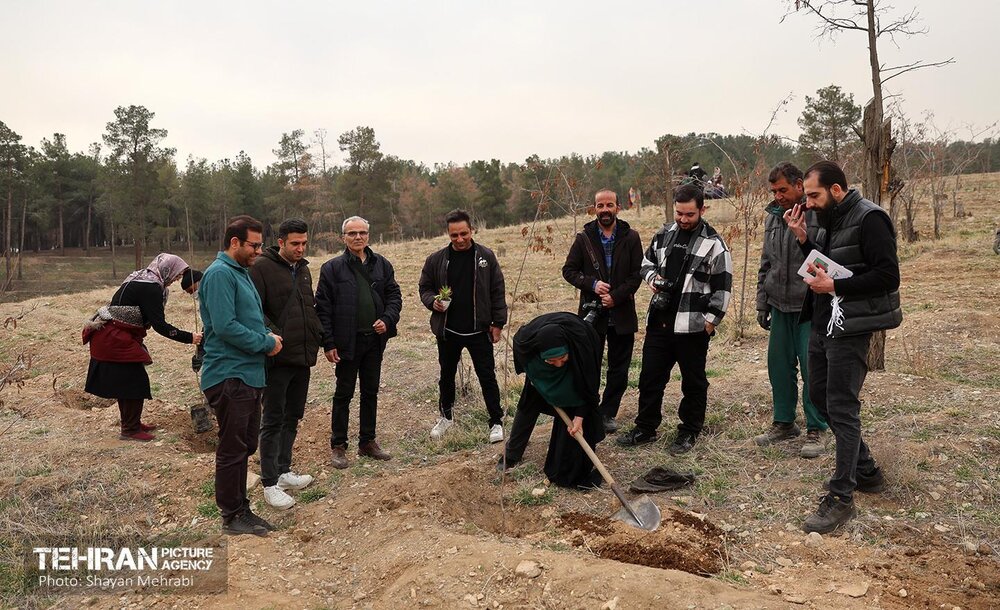 ۲۰ هزار درخت جایگزین درختان آلوده چیتگر میشود