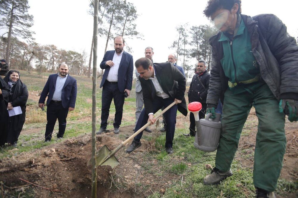 ۱۷ هزار درخت درکمتر از ۵ ماه در بوستان جنگلی سرخه‌حصار کاشته شد
