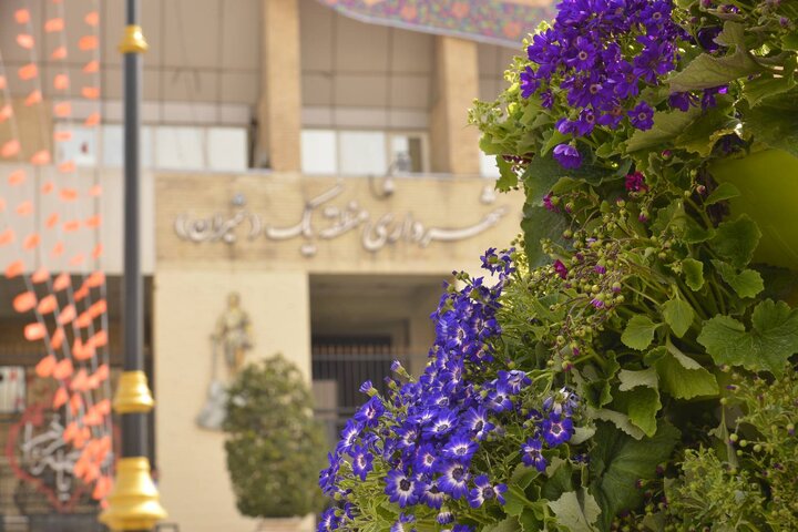 کاشت بیش از ۱۳ هزار گل فصلی در طرح استقبال از بهار