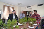 صیانت از بهبود یافتگان از اولویت‌های سازمان خدمات و مشارکت‌های اجتماعی است