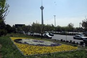 بزرگراه‌های منطقه ۲ به فرش گل مزین شد