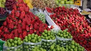 عرضه نوبرانه گوجه سبز در تمامی میادین و بازارهای میوه و تره‌بار