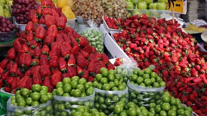 عرضه نوبرانه گوجه سبز در تمامی میادین و بازارهای میوه و تره‌بار
