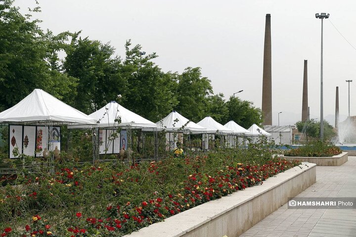 موزه گل محمدی؛ جاذبه جدید برای ساکنان مناطق جنوبی تهران 