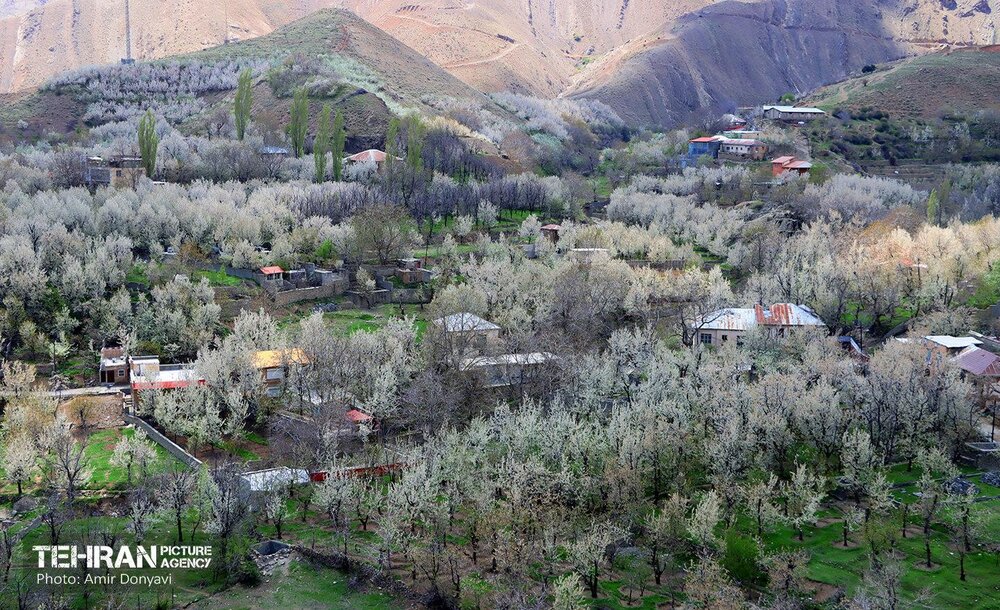 خبرگزاری آریا