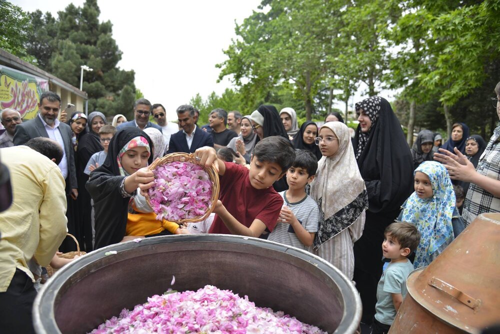 برپایی جشنواره گلابگیری در منطقه یک