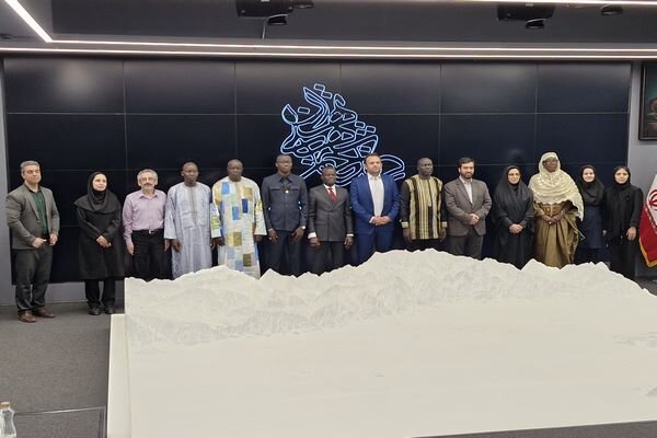 تهران، الگوی سلامت شهری برای آفریقا