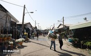 خطر در کمین بازار گل امام رضا (ع)