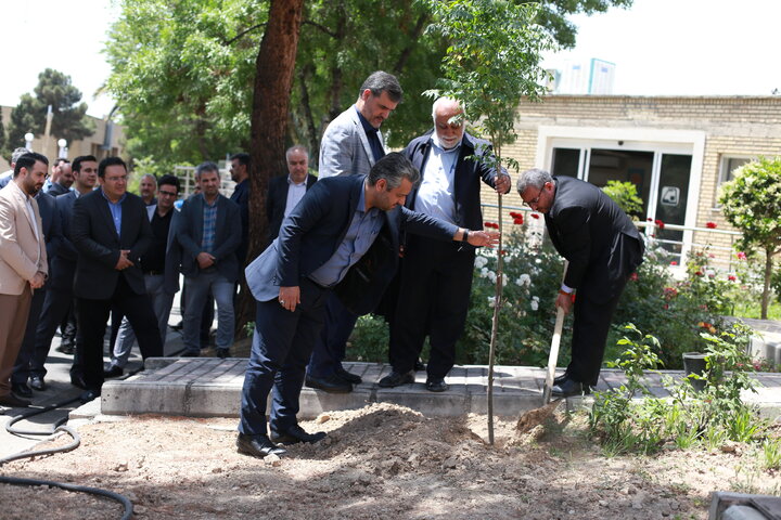 کاشت ۵۰ اصله درخت در آستانه فرارسیدن پنجاهمین سالگرد تاسیس شرکت مترو تهران