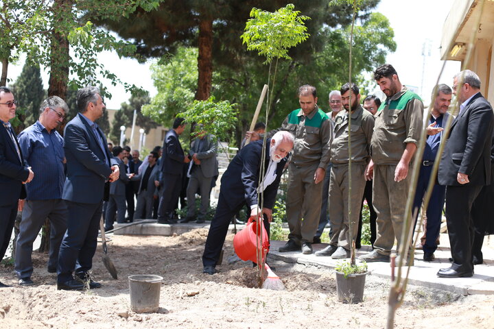 کاشت ۵۰ اصله درخت در آستانه فرارسیدن پنجاهمین سالگرد تاسیس شرکت مترو تهران