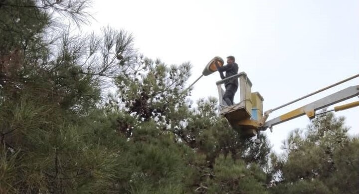 بهسازی و اصلاح سیستم روشنایی بیش از ۱۰ بوستان محلی منطقه ۲۲