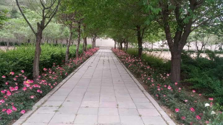 اجرای طرح گسترده بهسازی و بهبود فضای سبز در بوستان بانوان منطقه ۲۰