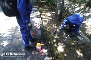 سم جدید قوی‌تر و با عملکرد متفاوت خریداری می‌شود