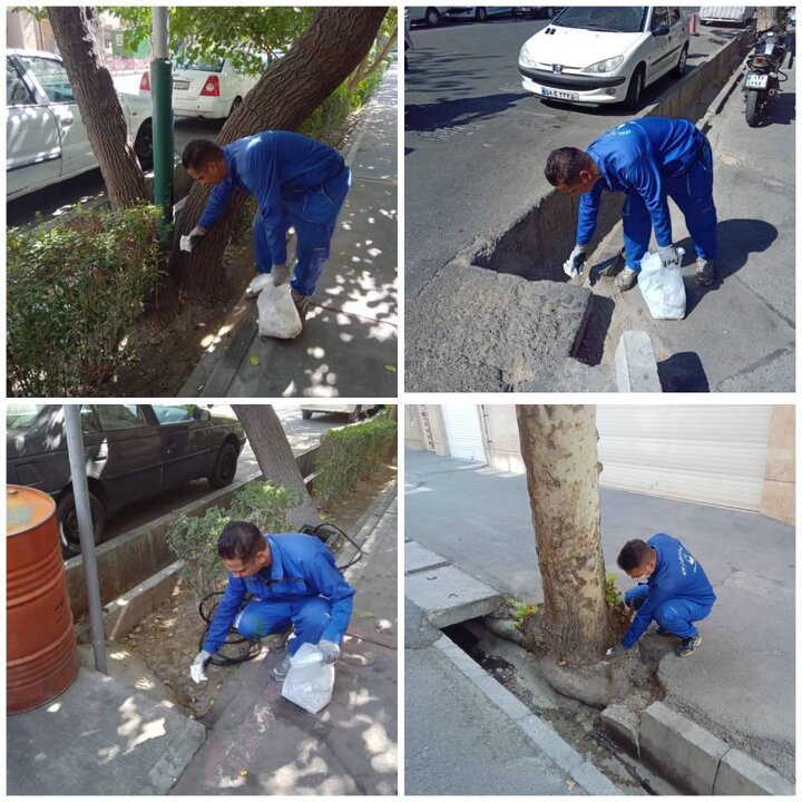 پاکسازی محیط شهری از جانوران موذی در سطح منطقه ۱۱/ گام‌های موثر برای بهبود بهداشت عمومی