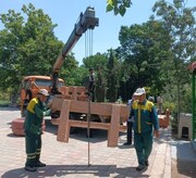 تکمیل صد در صدی پروژه‌های فضای سبز در ۱۹ محله منطقه ۱۵