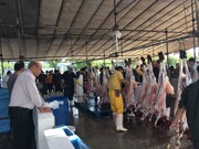 برپایی قربانگاه در منطقه ۱۴ با خدمات ویژه برای شهروندان