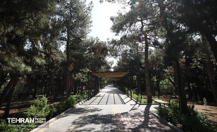آماده‌سازی بوستان‌های پایتخت برای خدمات‌رسانی به شهروندان در صورت نقض آتش‌بس از سوی رژیم صهیونی