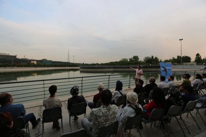 درباره این پرنده‌های همیشه در پرواز چه می‌دانید؟ 