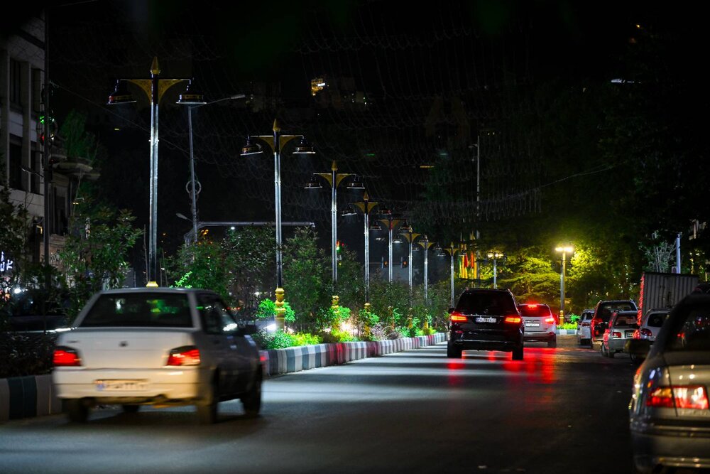 رفیوژ خیابان شهرداری در منطقه یک سبز شد