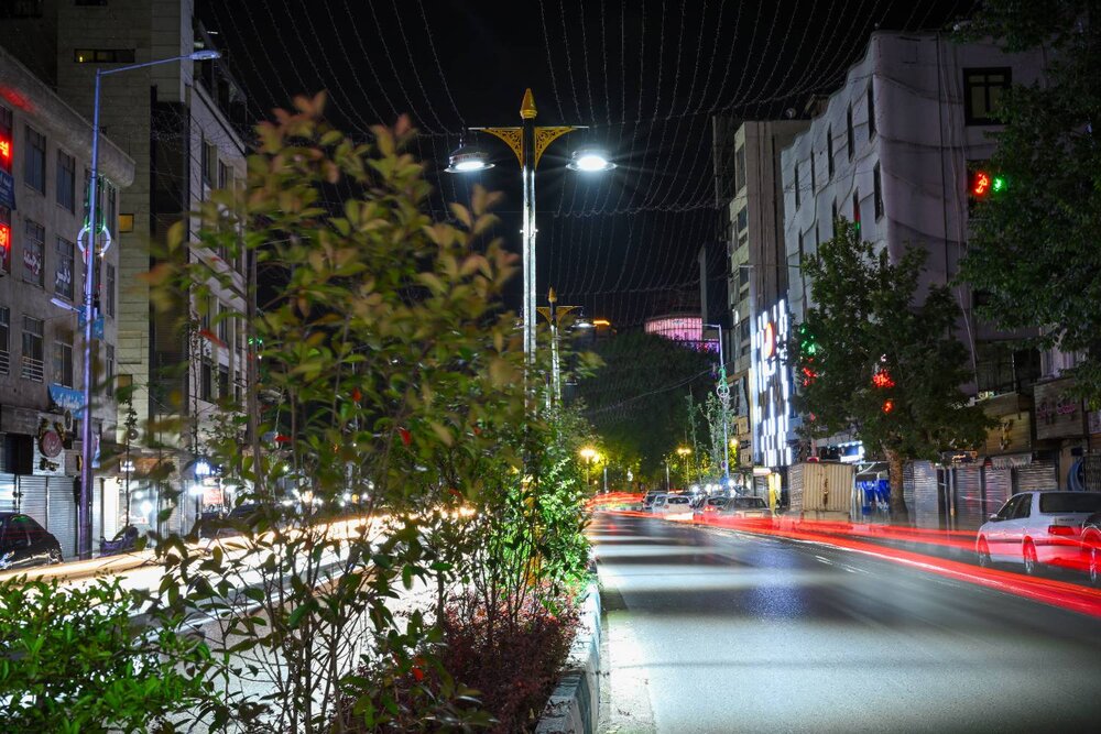 رفیوژ خیابان شهرداری در منطقه یک سبز شد