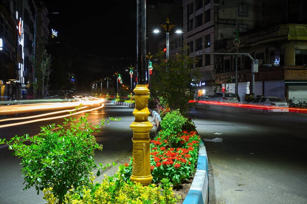 رفیوژ خیابان شهرداری در منطقه یک سبز شد