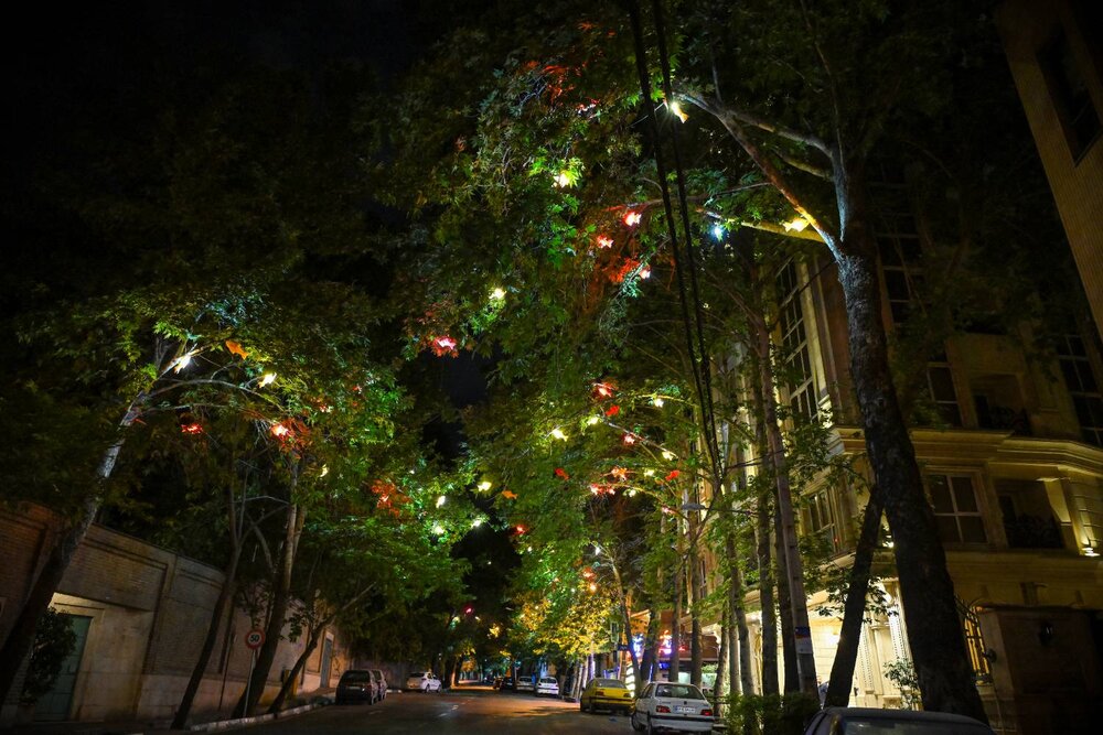 المان نوری ماهیهای رنگی بر درختان خیابان عمار نصب شد