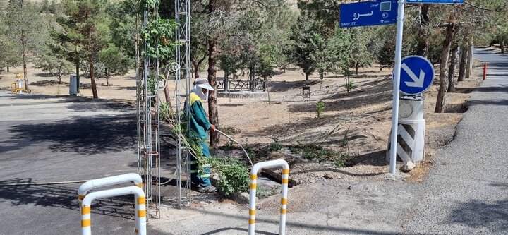 آبیاری بوستان لتمال کن با پساب تصفیه‌خانه بلوار کاشان