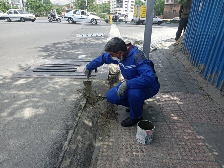 امحاء جانوران مضر شهری همزمان با گرم شدن هوا در منطقه ۴ تهران