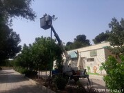بوستان ۱۸ هکتاری مادر در منطقه ۱۸ مجهز به ترانس برق مستقل شد