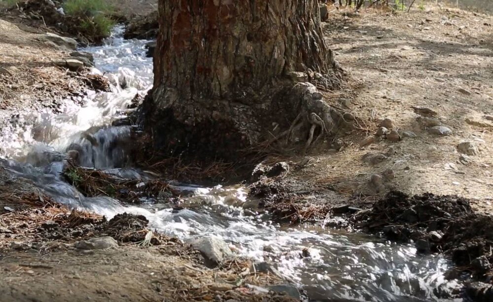 انتقال پساب تصفیهخانه شهید باقری به فاز شرقی بوستان چیتگر