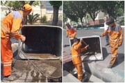 گندزدایی، کف‌تراشی و شستشوی مخازن زباله در منطقه ۴