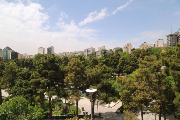 بوستان ساعی؛ نگین سبز تهران با تنوع گیاهی منحصر به‌فرد در منطقه ۶