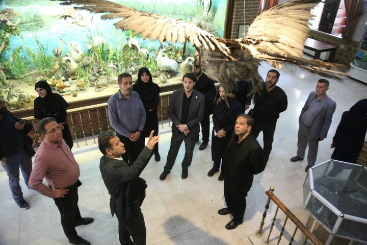 منطقه ۱۰ در مسیر توسعه پایدار؛ احداث نیروگاه‌های خورشیدی و رشد خانه‌های محیط زیست