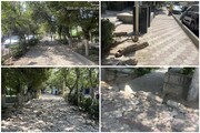 شروع عملیات مرمت و نوسازی معابر بوستان دانشجو در منطقه ۱۱