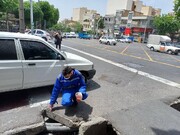 عملیات تابستانه امحاء جانوران مضر شهری در منطقه ۴