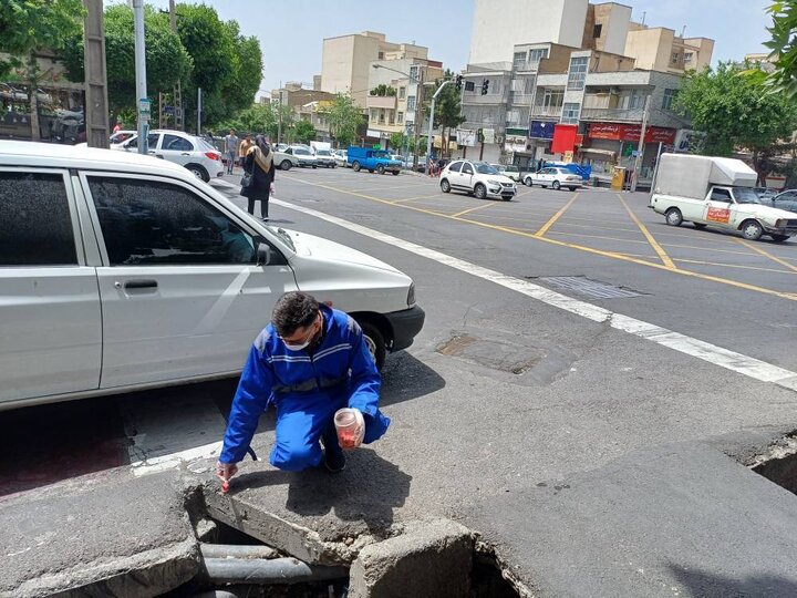 عملیات تابستانه امحاء جانوران مضر شهری در منطقه ۴