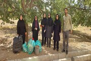 پاکسازی باغات توت شمال غرب منطقه ۵ با مشارکت فعالین محیط زیست محلات