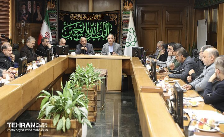 شهردار با نمایندگان مجلس دیدار کرد